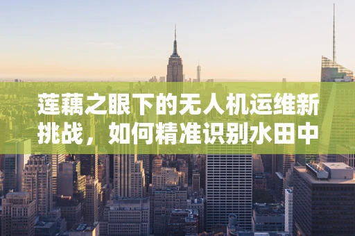 莲藕之眼下的无人机运维新挑战，如何精准识别水田中的障碍物？