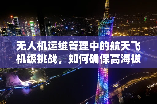 无人机运维管理中的航天飞机级挑战，如何确保高海拔环境下的稳定飞行？