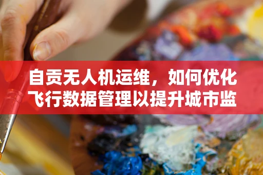 自贡无人机运维，如何优化飞行数据管理以提升城市监控效率？