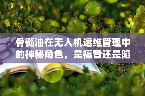 骨髓油在无人机运维管理中的神秘角色，是福音还是陷阱？