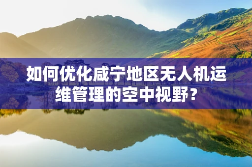 如何优化咸宁地区无人机运维管理的空中视野？