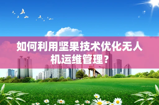 如何利用坚果技术优化无人机运维管理？