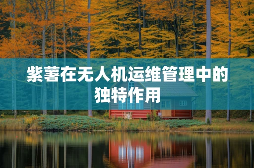 紫薯在无人机运维管理中的独特作用