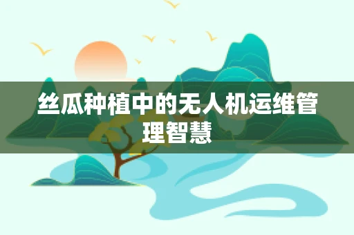 丝瓜种植中的无人机运维管理智慧