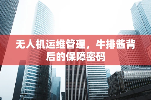 无人机运维管理，牛排酱背后的保障密码