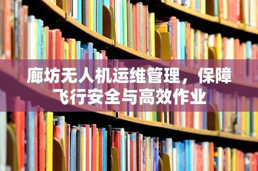 廊坊无人机运维管理，保障飞行安全与高效作业