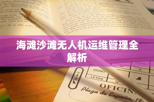 海滩沙滩无人机运维管理全解析