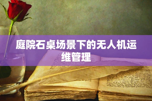 庭院石桌场景下的无人机运维管理