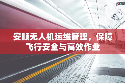 安顺无人机运维管理，保障飞行安全与高效作业