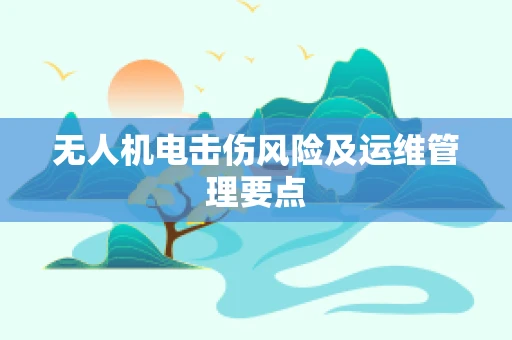 无人机电击伤风险及运维管理要点