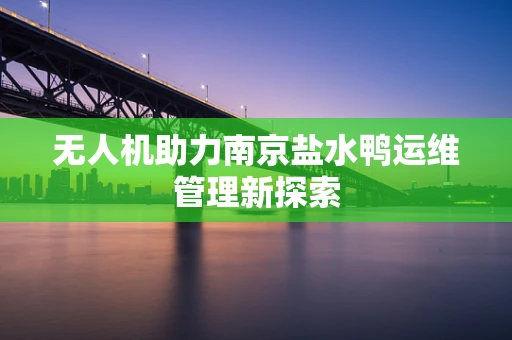 无人机助力南京盐水鸭运维管理新探索