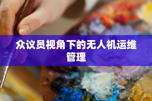 众议员视角下的无人机运维管理