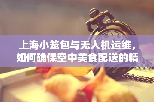 上海小笼包与无人机运维，如何确保空中美食配送的精准与安全？