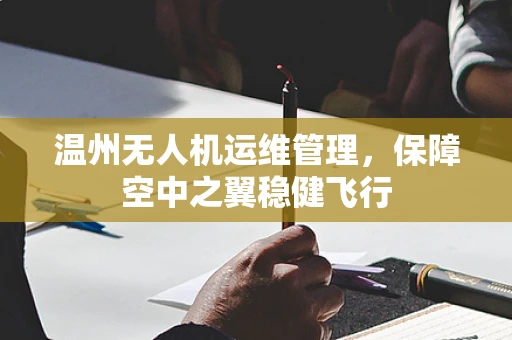 温州无人机运维管理，保障空中之翼稳健飞行