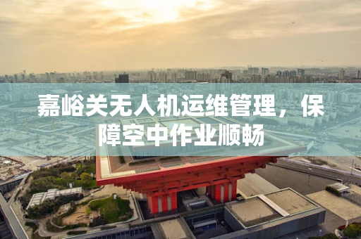 嘉峪关无人机运维管理，保障空中作业顺畅