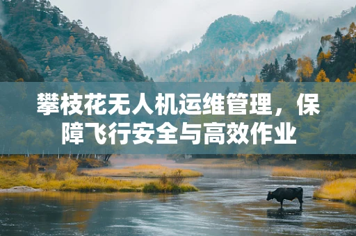 攀枝花无人机运维管理，保障飞行安全与高效作业