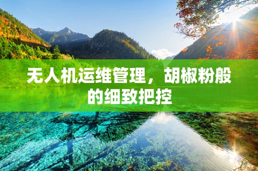 无人机运维管理，胡椒粉般的细致把控