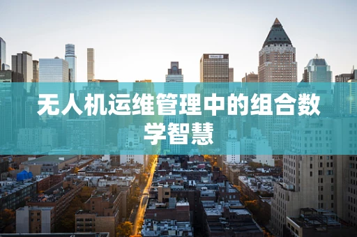 无人机运维管理中的组合数学智慧