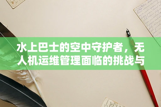 水上巴士的空中守护者，无人机运维管理面临的挑战与解决方案