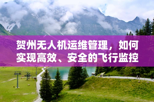贺州无人机运维管理，如何实现高效、安全的飞行监控？