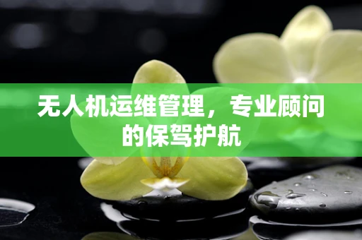 无人机运维管理，专业顾问的保驾护航