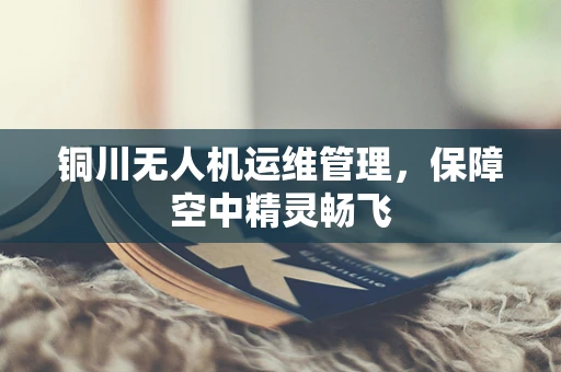 铜川无人机运维管理，保障空中精灵畅飞