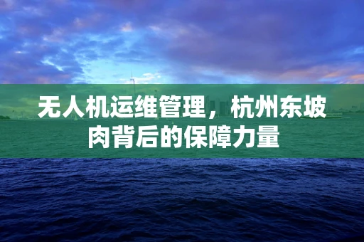 无人机运维管理，杭州东坡肉背后的保障力量