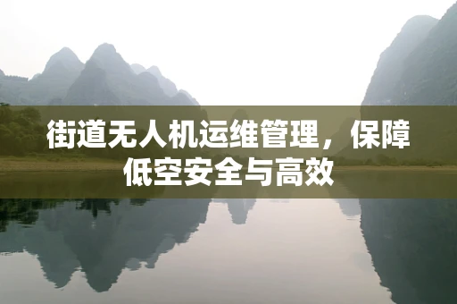 街道无人机运维管理，保障低空安全与高效