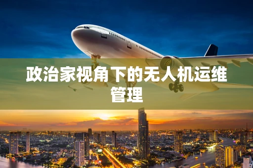 政治家视角下的无人机运维管理