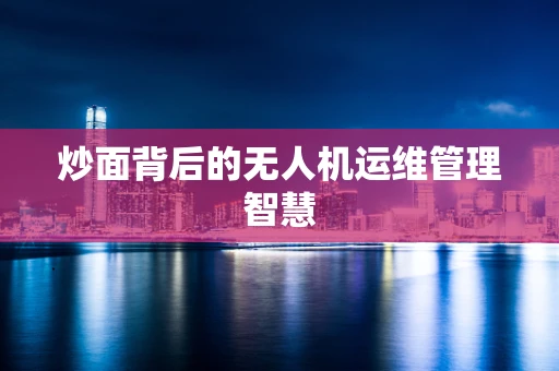 炒面背后的无人机运维管理智慧