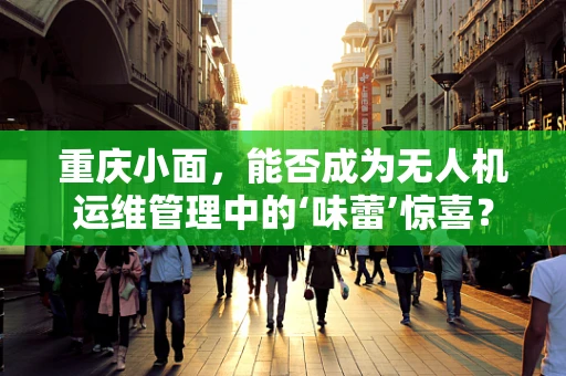 重庆小面，能否成为无人机运维管理中的‘味蕾’惊喜？