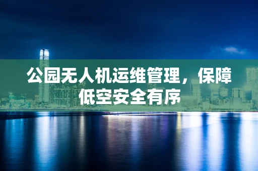 公园无人机运维管理，保障低空安全有序