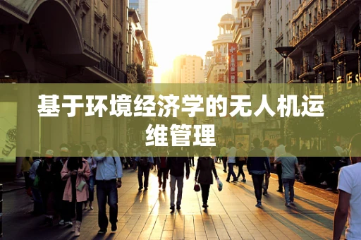 基于环境经济学的无人机运维管理