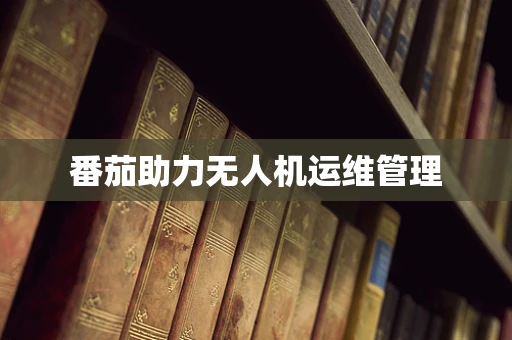 番茄助力无人机运维管理