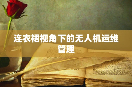 连衣裙视角下的无人机运维管理