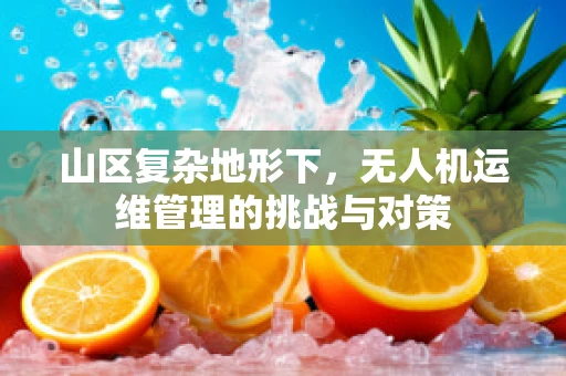 山区复杂地形下，无人机运维管理的挑战与对策
