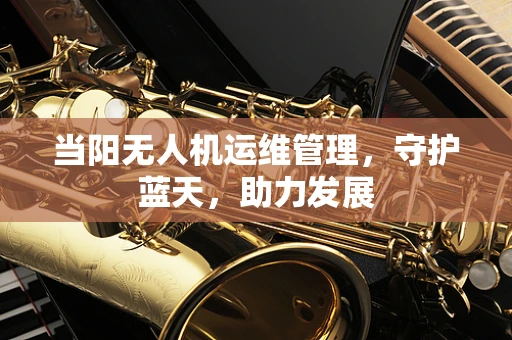 当阳无人机运维管理，守护蓝天，助力发展