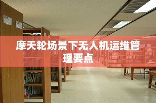 摩天轮场景下无人机运维管理要点