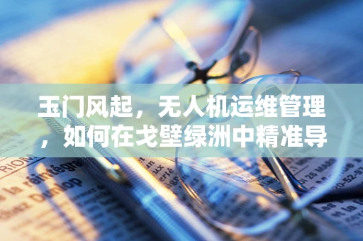 玉门风起，无人机运维管理，如何在戈壁绿洲中精准导航？
