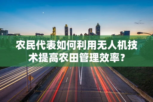 农民代表如何利用无人机技术提高农田管理效率？