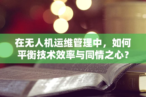 在无人机运维管理中，如何平衡技术效率与同情之心？