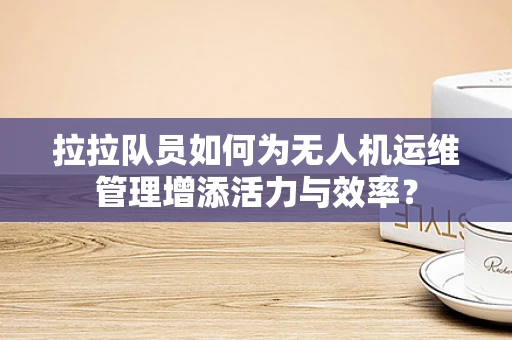 拉拉队员如何为无人机运维管理增添活力与效率？
