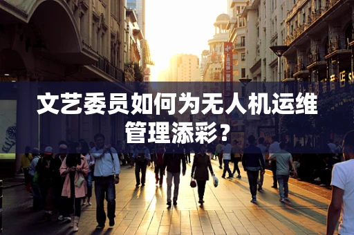 文艺委员如何为无人机运维管理添彩？