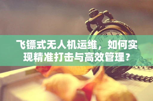 飞镖式无人机运维，如何实现精准打击与高效管理？