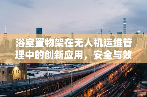 浴室置物架在无人机运维管理中的创新应用，安全与效率的双重提升？