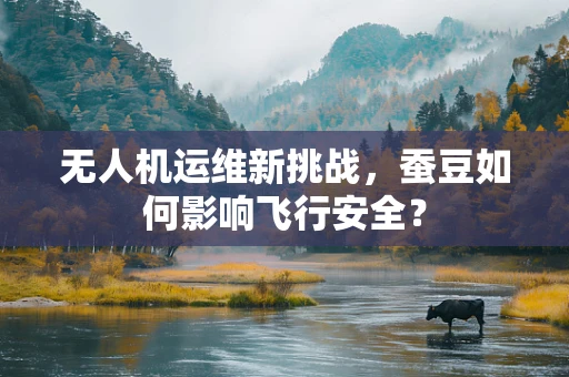 无人机运维新挑战，蚕豆如何影响飞行安全？