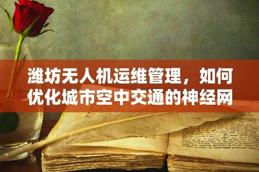 潍坊无人机运维管理，如何优化城市空中交通的神经网络？