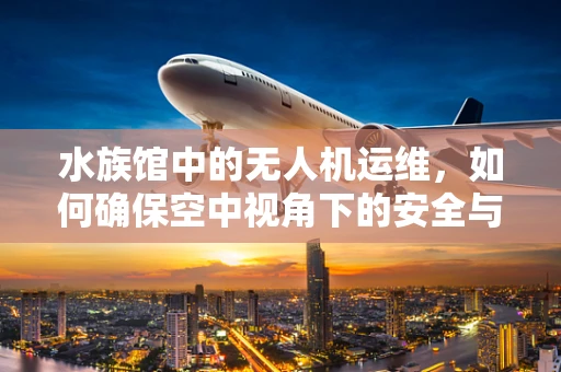 水族馆中的无人机运维，如何确保空中视角下的安全与稳定？