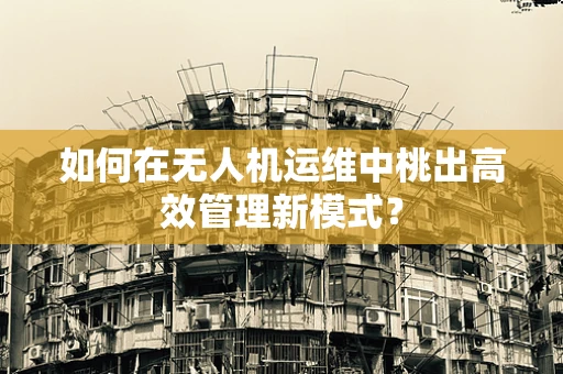 如何在无人机运维中桃出高效管理新模式？