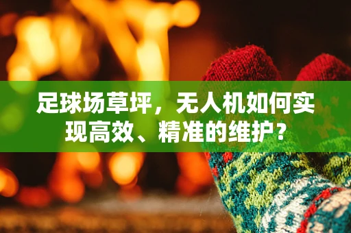 足球场草坪，无人机如何实现高效、精准的维护？